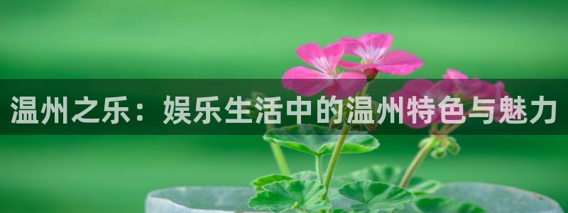 星亿娱乐最新代理入口