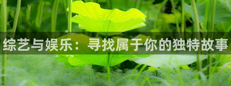 星亿娱乐最新代理入口