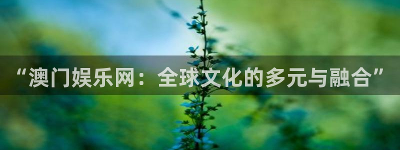 星亿娱乐官网进入